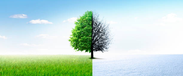 istock Change of season from summer to winter 2183413402