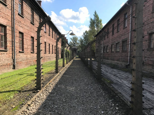Auschwitz Birkenau Concentration Camp barracks with barbed wire fences