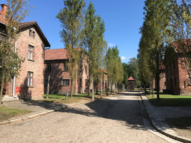 Auschwitz Birkenau Concentration Camp barracks with barbed wire fences