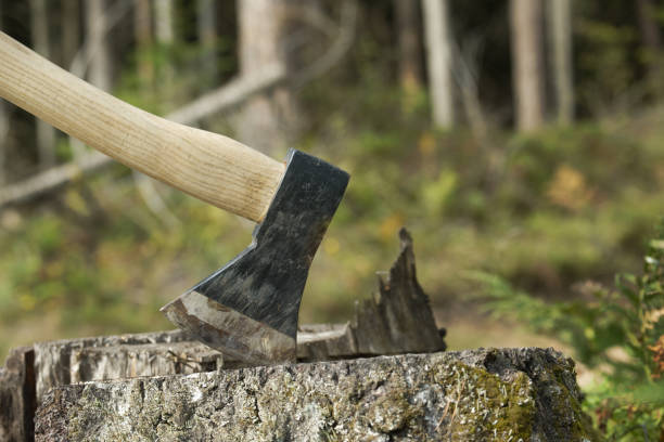 istock Axe stuck in tree stump in background of felled forest 2183415990