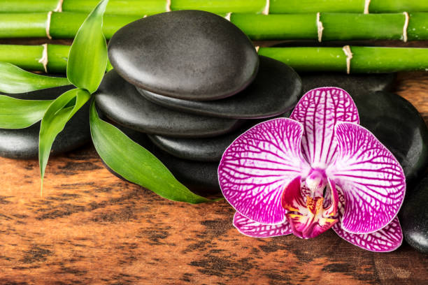 Orchid flower, black massage stones and bamboo stems on a wooden texture (mango tree wood).