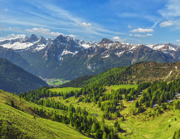 istock Lush valley with alpine mountains and green forest - Dolomites, Italy 2183419537