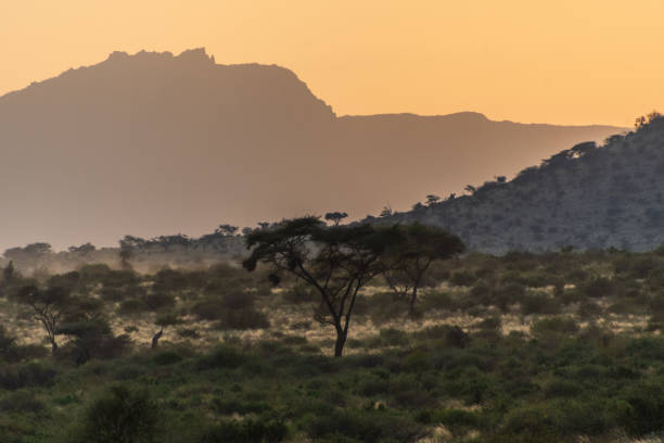 istock Sunset in Samburu National reserve 2183423486