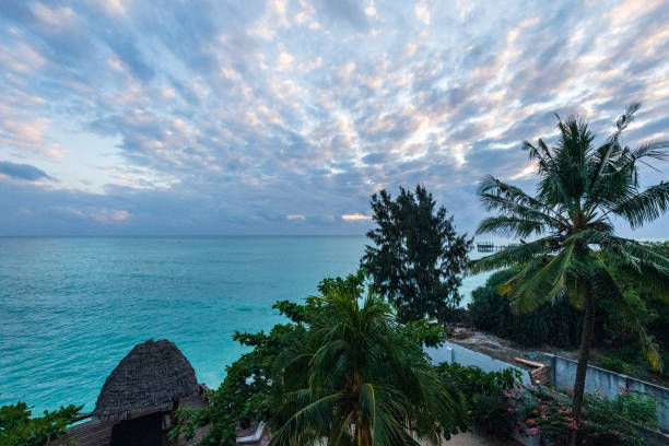 istock The coast of northern Zanzibar 2183423558