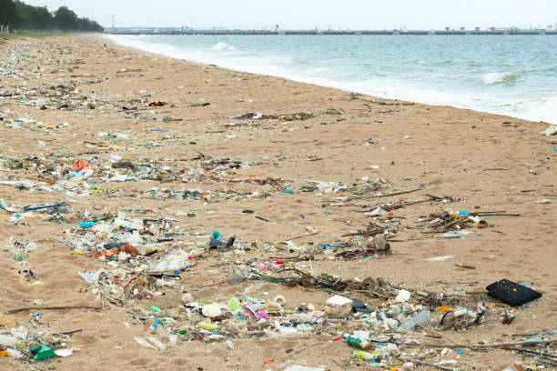 istock Trash Garbage washed up on the beach, Dirty sea beach trash, plastic cups and plastic bags at the beach. environmental ocean and shore problem. 2183424571