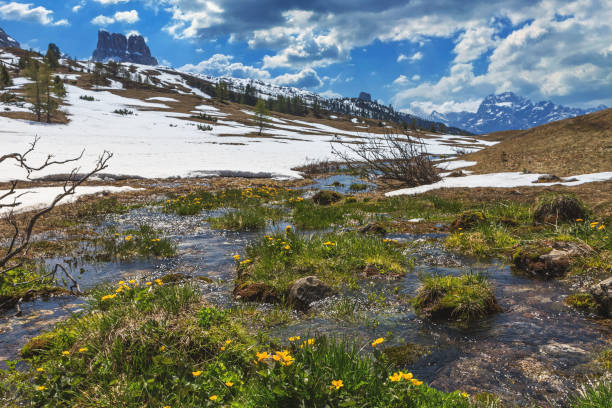 A serene mountain meadow in the Dolomites, Italy, captured in spring. Melting snow reveals vibrant green grass and yellow wildflowers along a sparkling stream, set against a backdrop of rugged peaks and a partly cloudy sky.
