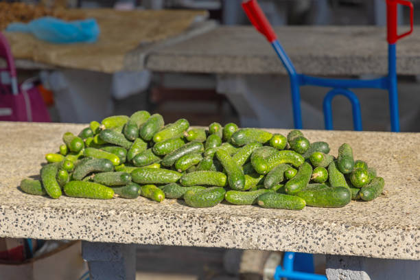 Bunch of Fresh Green Cucumbers Vegetable at Farmers Market Stall Sunny Autumn Day