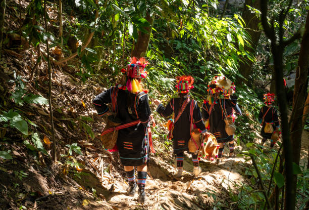 A group of women in traditional ethnic costumes walk along a path in a dense tropical forest. They are dressed in colorful clothes, carrying bamboo baskets on their backs and wearing richly decorated hats. This scene shows the harmonious integration of culture and nature, full of the breath of life, and reflects the unique charm of ethnic culture.