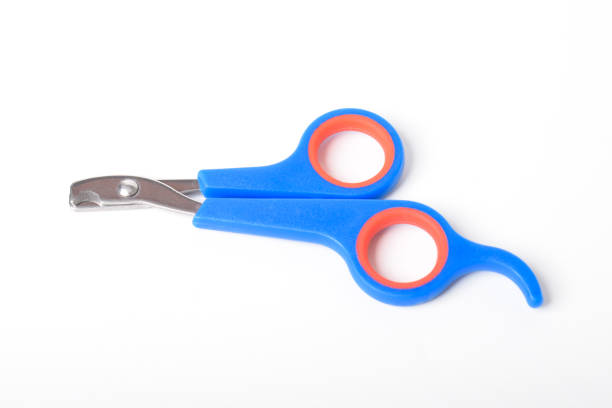 istock Pet claw clipper. Cat and dog nail clipper 2183443503
