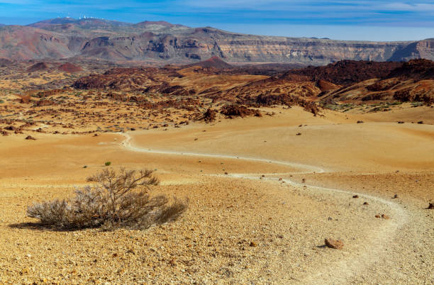 istock Landscape near Teide volcano, Tenerife 2183444657
