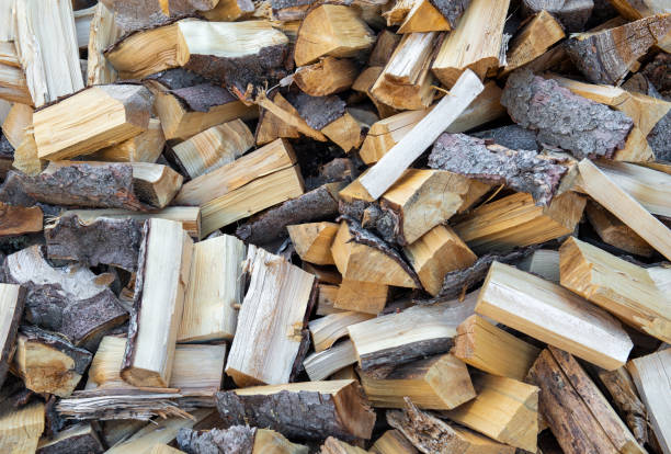 istock Dry sawn and chopped firewood in a pile 2183445648