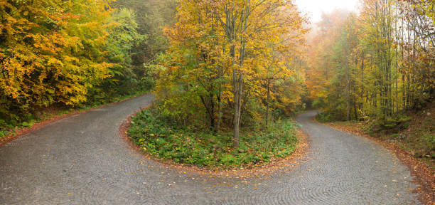 istock Park road in the autumn 2183448663