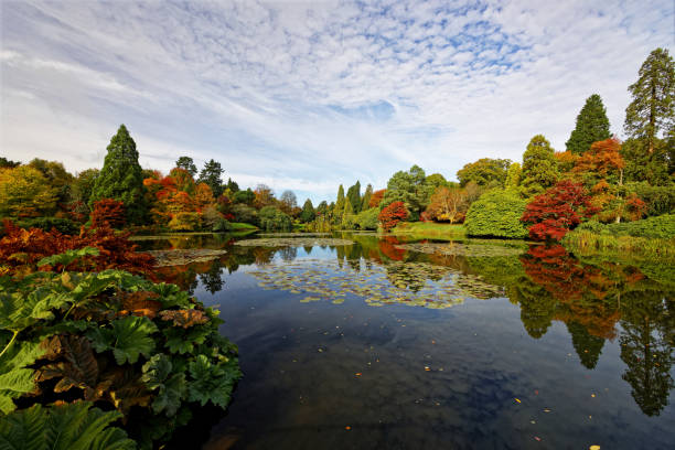 Autumn Clolours of the trees around the lake at Sheffield Park in Uckfield Surrey England UK
