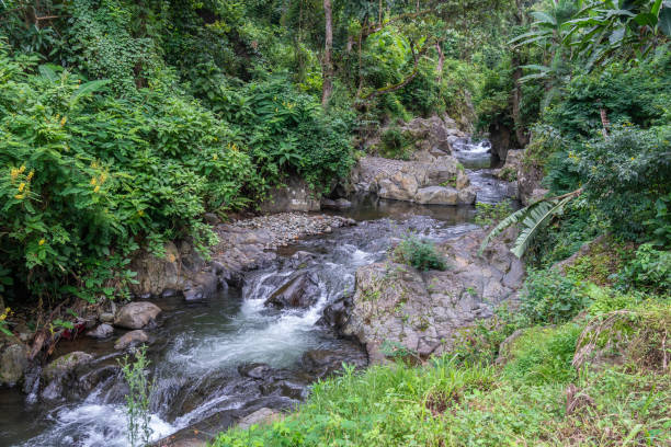 istock A waterfall amidst a lush green forest, Mount Kilimanjaro, Tanzania 2183455202