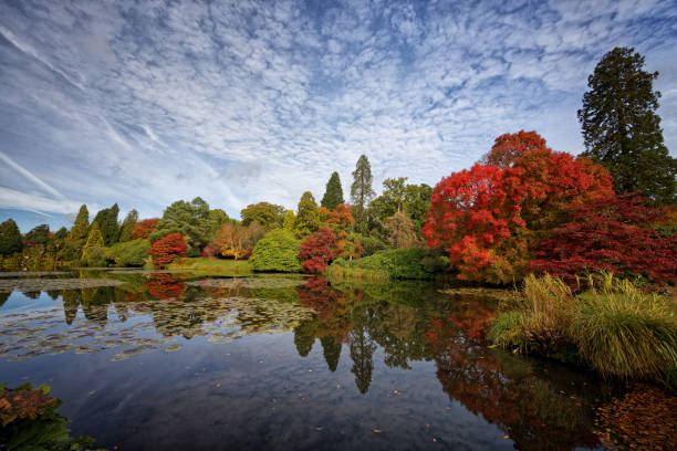 istock Autumn at Sheffield Park in Uckfield Surrey England UK 2183456094