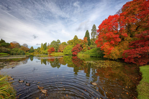 istock Sheffield Park in Uckfield Surrey England UK 2183456210