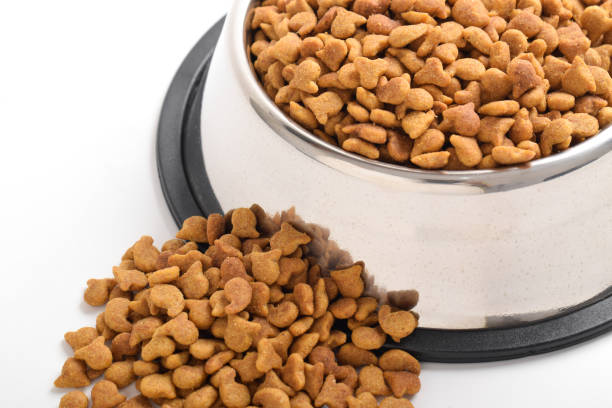 istock Dry food for cats in bowl. Brown cat kibble 2183459731