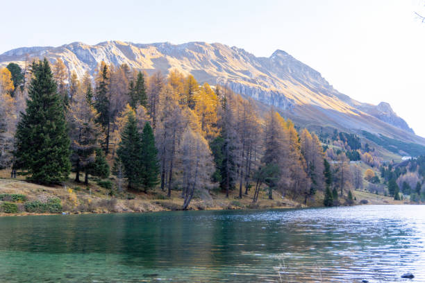 Tranquil alpine lake reflecting autumn trees and rugged mountains in soft light, showcasing nature's seasonal beauty.