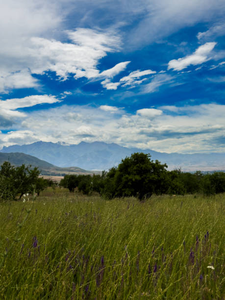istock Spacious spring field with green grasses and distant mountain ranges under a dramatic cloudy sky in Kyrgyzstan. 2183467511
