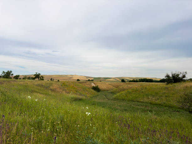 istock Spacious spring field with green grasses and distant mountain ranges under a dramatic cloudy sky in Kyrgyzstan. 2183467532