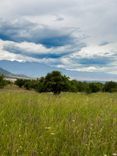 istock Spacious spring field with green grasses and distant mountain ranges under a dramatic cloudy sky in Kyrgyzstan. 2183467536