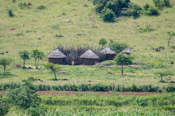 istock A group of thatched African huts in a field with mountains behind, Tanzania 2183473298