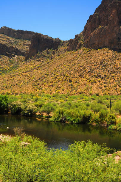 istock Salt River Recreation Area Arizona 2183475490