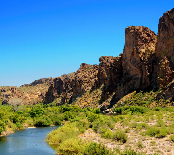 istock Salt River Recreation Area Arizona 2183475583
