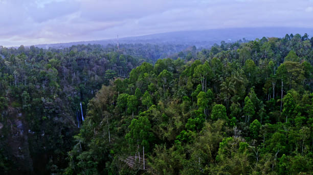 istock Sewu Waterfall,Bali, Java Island,Indonesia.Including islands.Mount Semeru. 2183479504