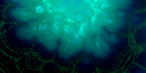 istock Slice Of Crystal Agate 2183491980
