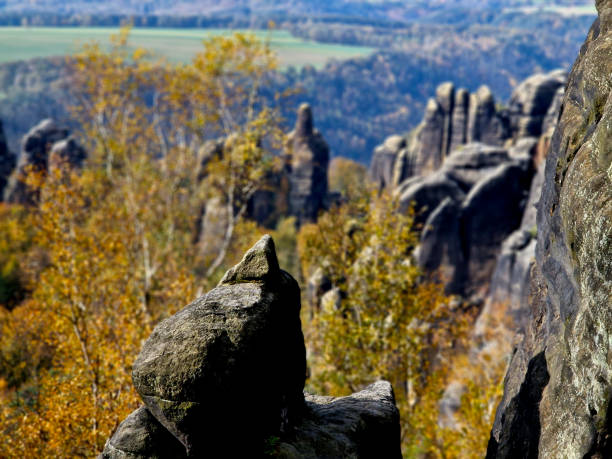 Sandstone cliffs and forest in springtime, Bohemian Switzerland National Park, Czech Republic
