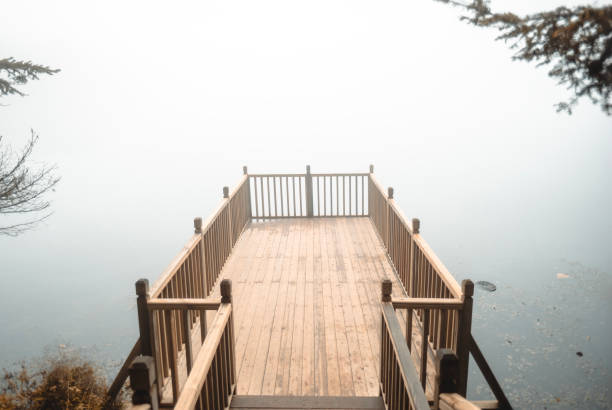 Pier Over a Misty LakeLocation:  Bolu, Yedigoller National Park, Turkiye