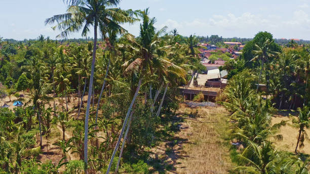 istock Coconut grove,Primitive Village,Bali, Indonesia.Including islands. 2183495927