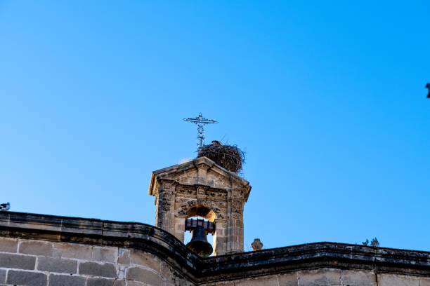 Close-up of a church bell tower with a clock and a stork nest, featuring stone details and a blue sky.