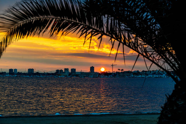 The sunset casts vibrant yellow and orange hues in the sky, with a palm framing the view and reflections on the water.