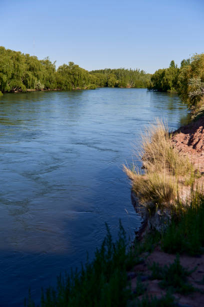 istock Neuquen River, Argentina: water flowing calmly, lush vegetation, is springtime 2183500594