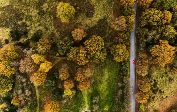istock Directly above country road 2183501364