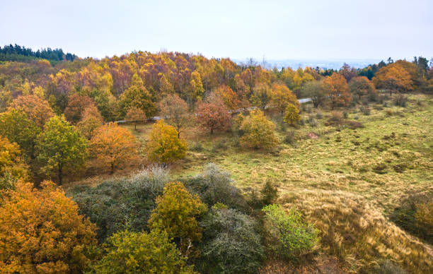 istock Meadow and trees with autumn leaf color 2183501569