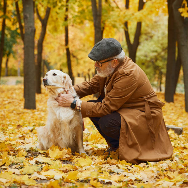 istock Elderly man walking and playing along tree-lined path in park with his dog, both enjoying calm and beauty of fall. 2183502180