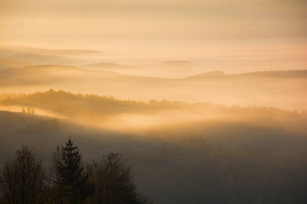 mountainous landscape with fog in the valley. beautiful view on a sunny morning. countryside scenery in fall season. glowing mist between rolling hills. tranquil silence