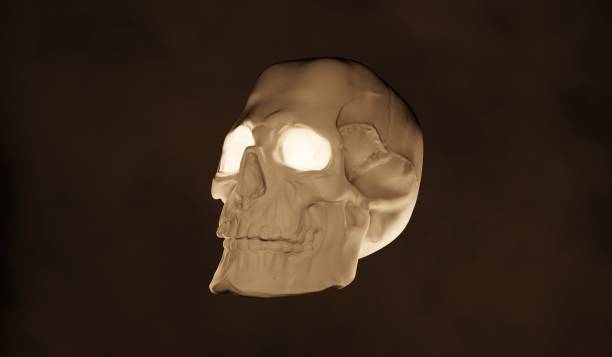 istock Skull and smoke 3D illustration 2183512277