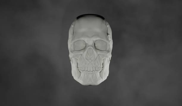 istock Skull and smoke 3D illustration 2183512289