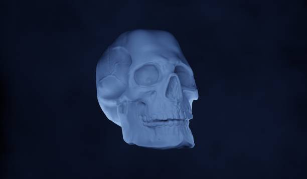 istock Skull and smoke 3D illustration 2183512294