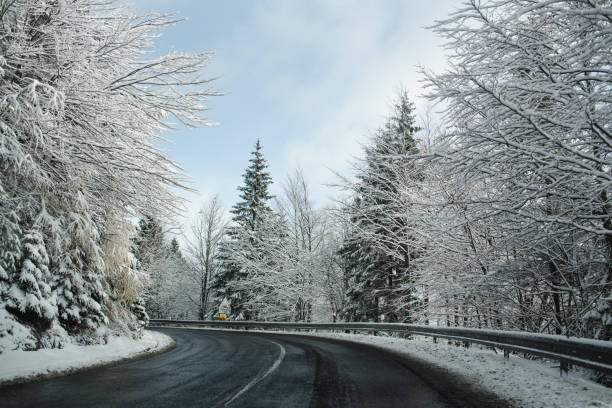 istock Snowy road through winter forest 2183513239