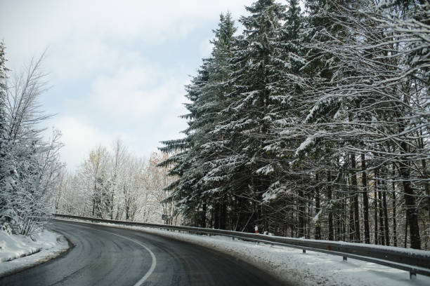 istock Snowy road through winter forest 2183513279