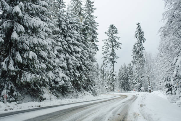 istock Snow-covered road winding through winter forest 2183513303