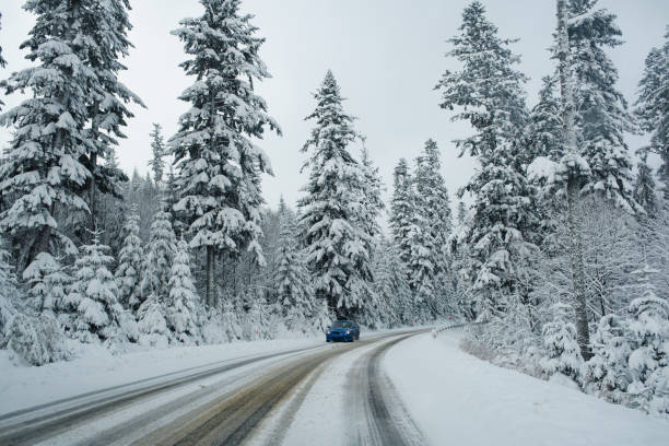 istock Snow-covered road winding through winter forest 2183513308