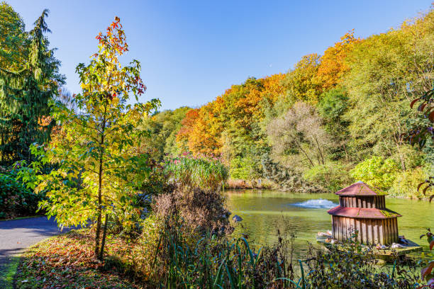 istock Pond surrounded by leafy trees changing color according to season 2183514110