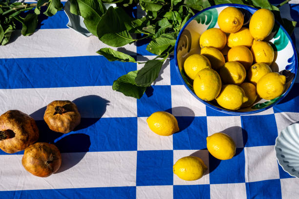 istock Fresh Pomegranates and Lemons on Blue Checkered Tablecloth 2183514223