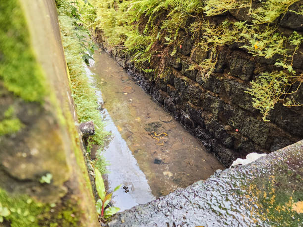 istock Moss-Covered Drainage Channel with Clear Water and Lush Greenery 2183518863